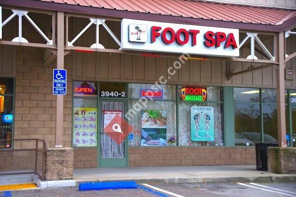 Palm Tree Foot Spa