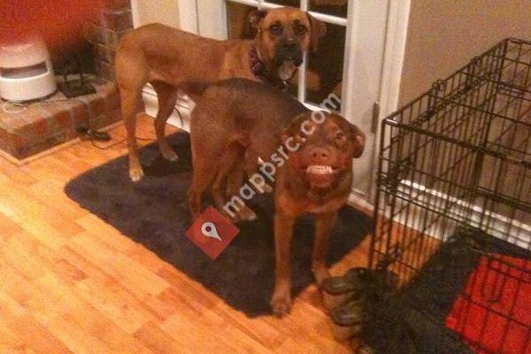 Palmetto Family Dentistry. Dr Jonathan P Wimer.