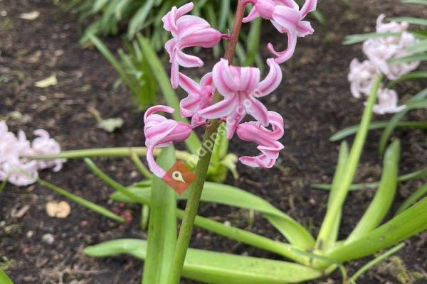 Park at Bothell Landing