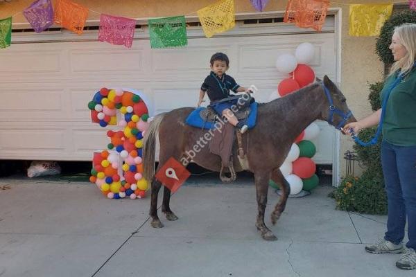 Party Ponies And Pets