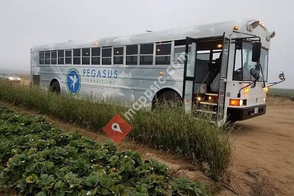 Pegasus Transit, Inc.