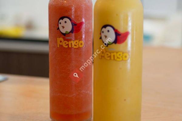 Pengo Drink Station