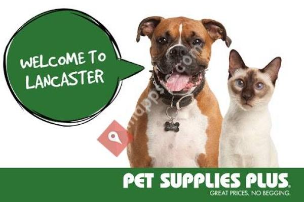 Pet Supplies Plus