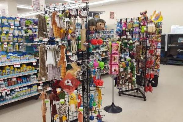 Pet Supplies Plus