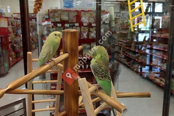 Petco Animal Supplies