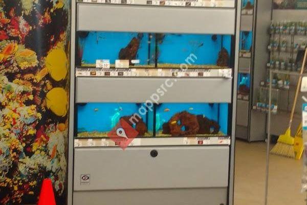 Petco Animal Supplies