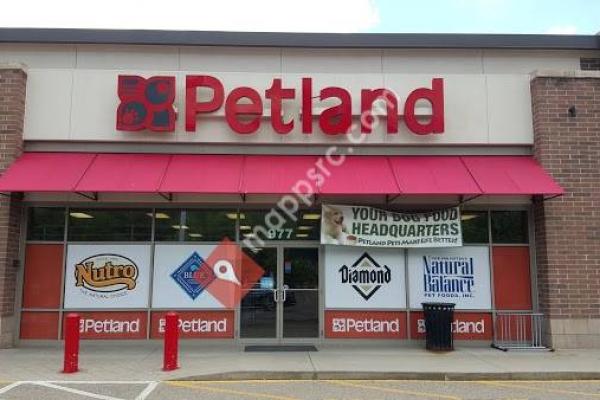 Petland Athens