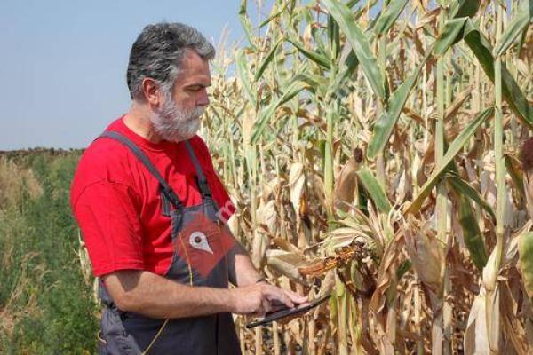 Phil Thompson & Associates