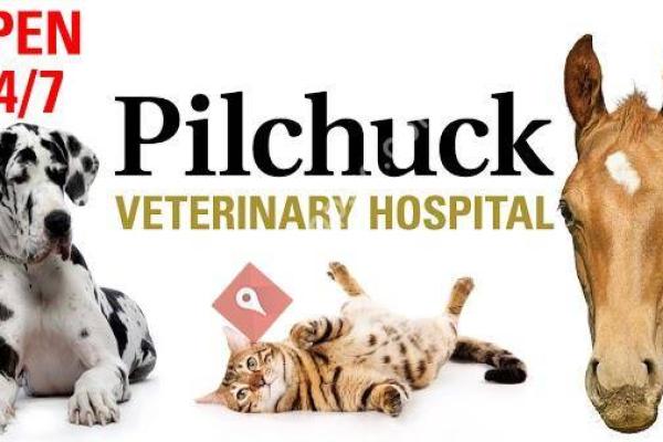 Pilchuck Veterinary Hospital