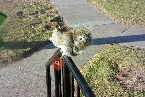 Plattsburgh Housing Authority