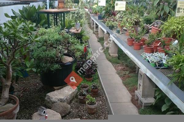 Pleasant View Nursery, Garden Center & Florist