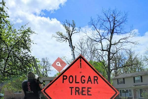 Polgar Tree Service & Removal LLC