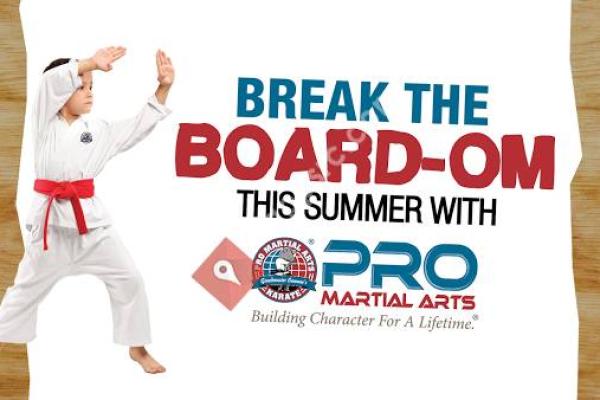 PRO Martial Arts Stony Brook