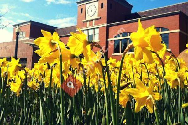 Puyallup Public Library