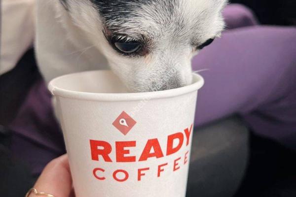 Ready Coffee