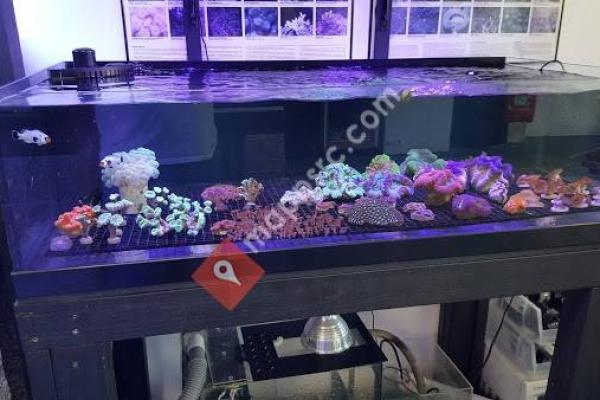 Reef Smart Aquariums