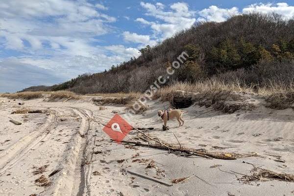 Reeves Beach