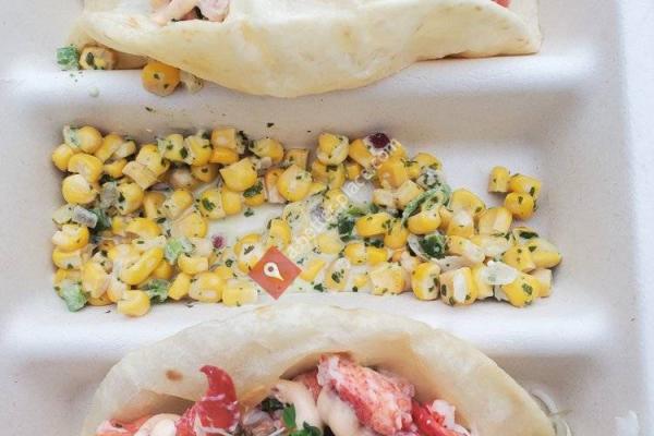 Rexicana Surf Cantina