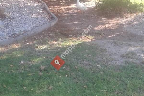 Robert E Lake Elementary School