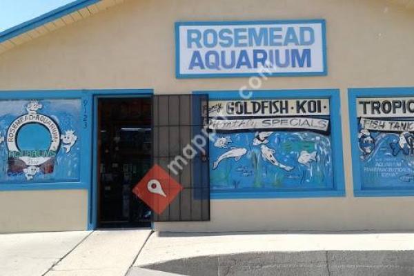 Rosemead Aquarium