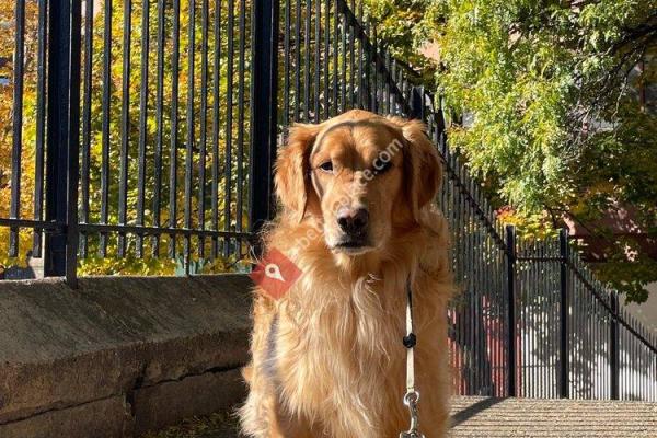 RUFF North End Dog Park