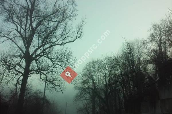 Saint Peter the Apostle Anglican Church