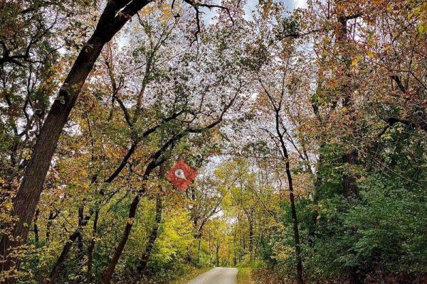 Salt Creek Greenway Trail