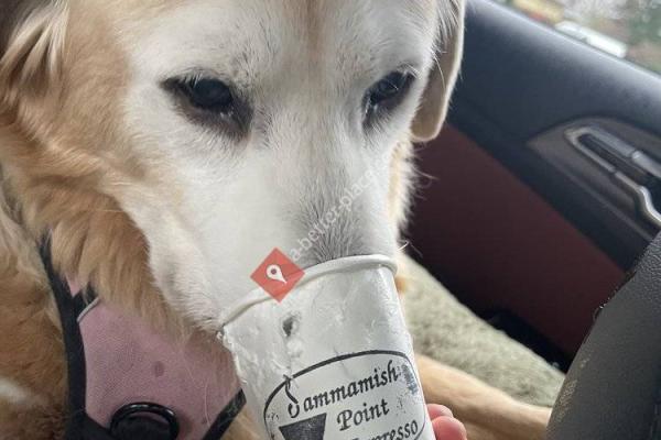 Sammamish Point Espresso