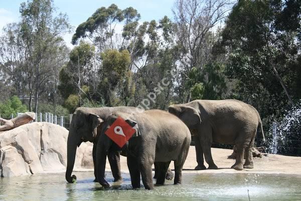 San Diego Zoo