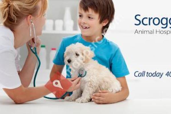 Scroggins Animal Hospital