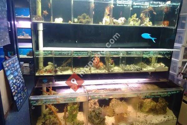 Sea Life Aquarium Services