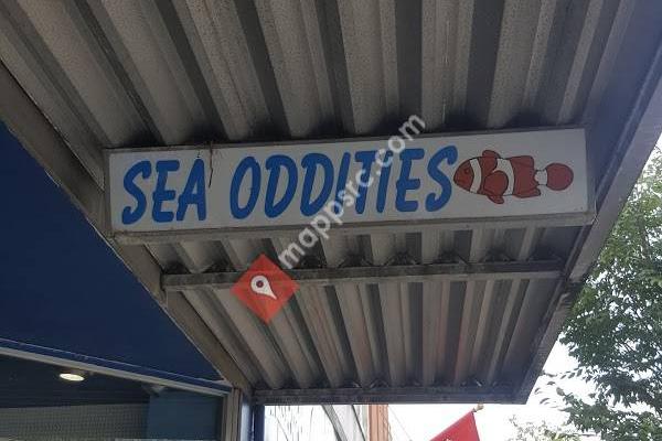 Sea Oddities