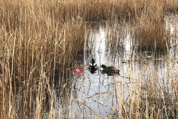 Seaside Wildlife Nature Park