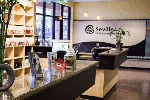 Seville Veterinary Hospital