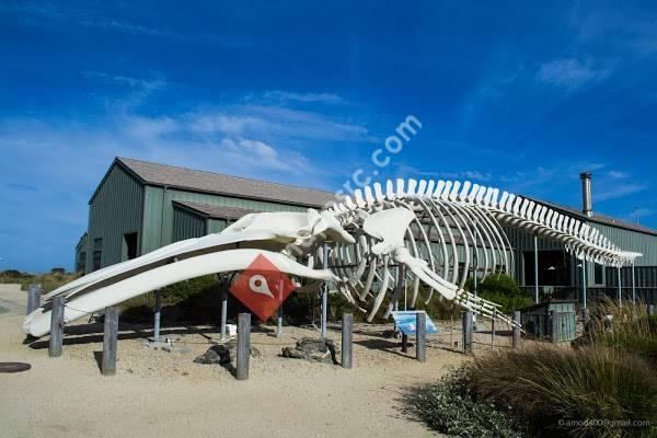 Seymour Marine Discovery Center