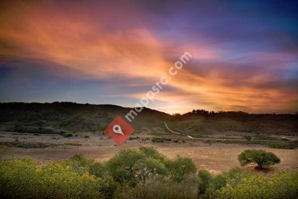 Shea Homes® at Rice Ranch