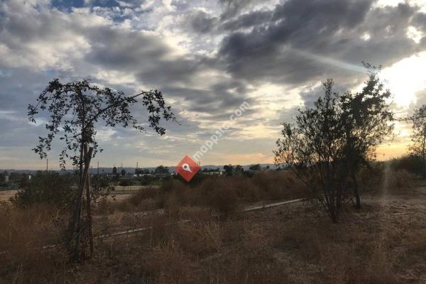 Sheldon Arleta Park