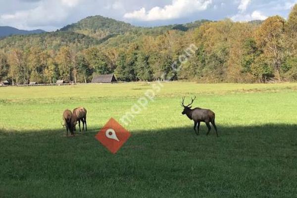 Smoky Mountain Riding Stables