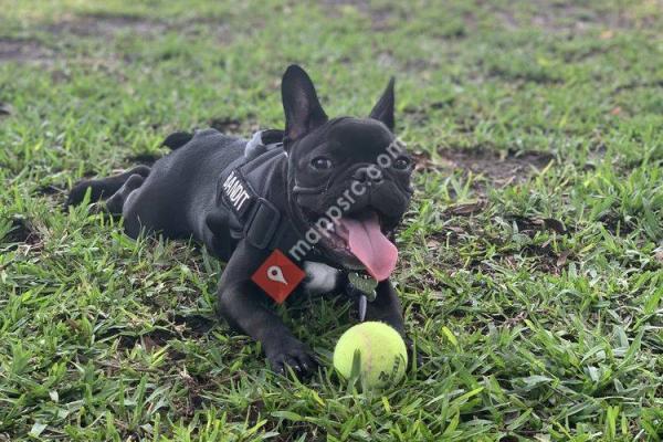 South Miami Dog Park