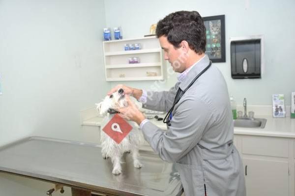 Southern Veterinary Partners