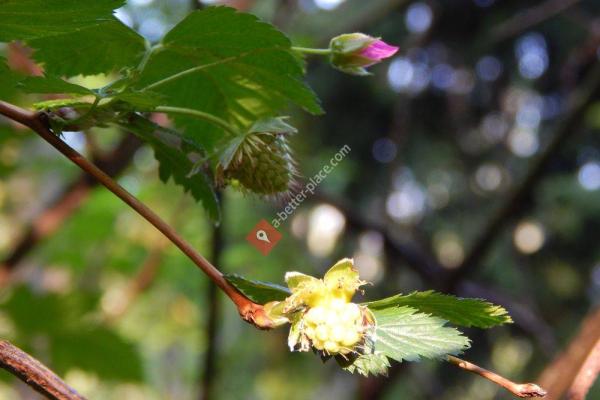 Southwest County Park