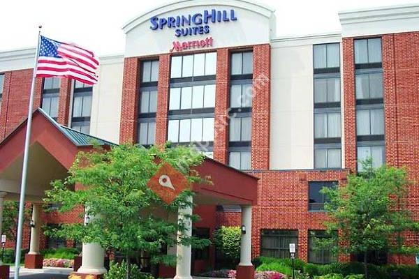 SpringHill Suites by Marriott Chicago Naperville/Warrenville