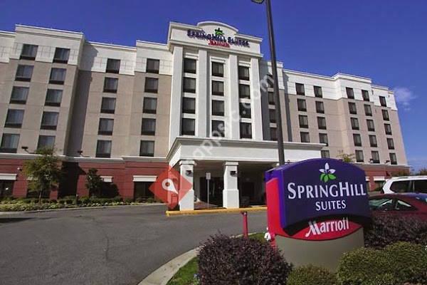 SpringHill Suites by Marriott Norfolk Virginia Beach