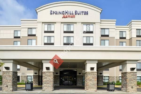 SpringHill Suites by Marriott Pittsburgh Mills