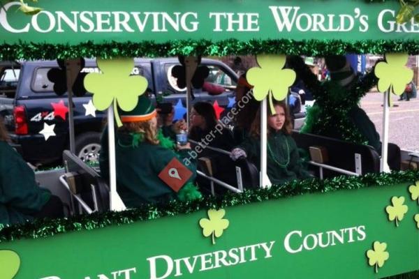 St. Patricks Day Parade