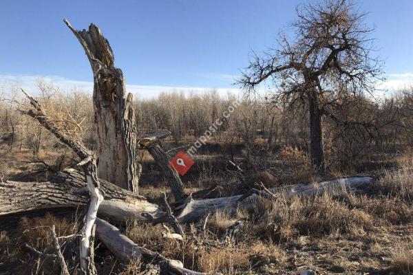 Star K Ranch Open Space