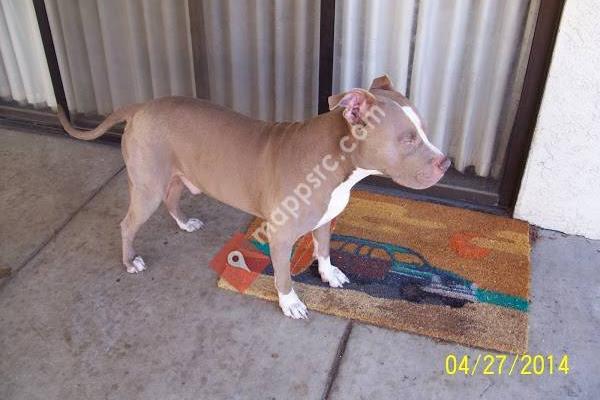 Stine Veterinary Hospital