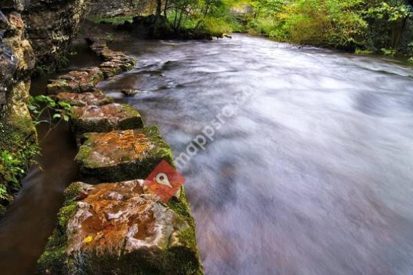 Stonecreek Accounting