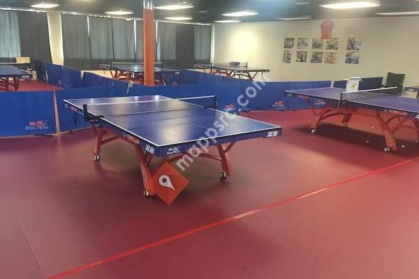 Super Spin Table Tennis