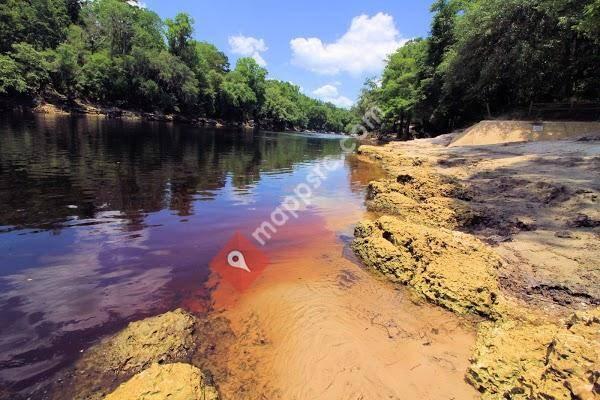 Suwannee River State Park